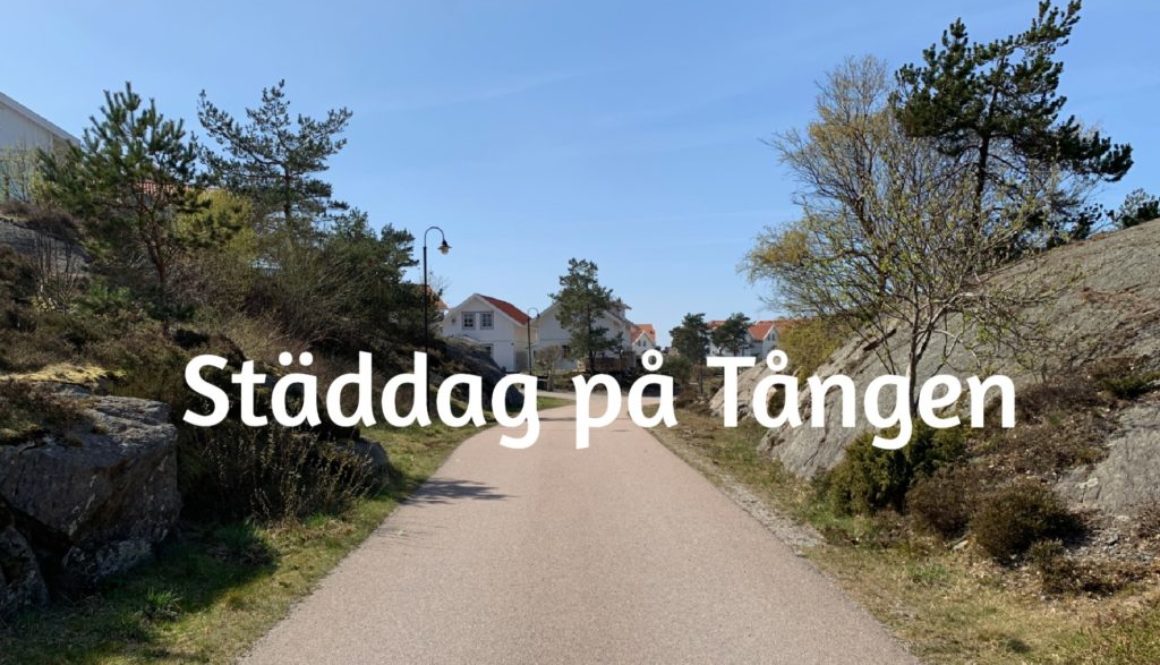 Städdag på Tången