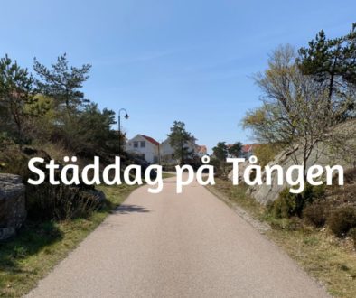 Städdag på Tången