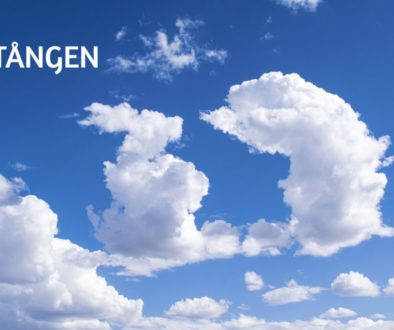 Årsstämma 1920x1280 Tången
