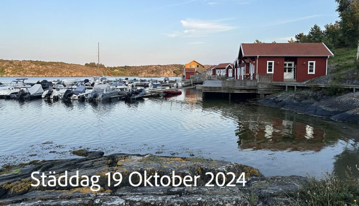 Havn-brygge staddag