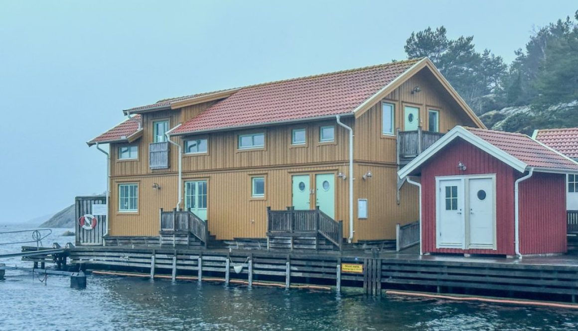 Magasinet Magasinet